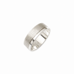 Anillo nexo